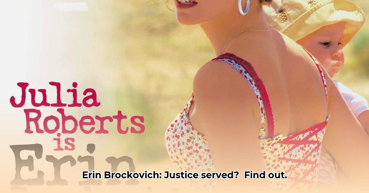 erin-brockovich